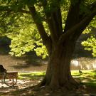 arboretum bench