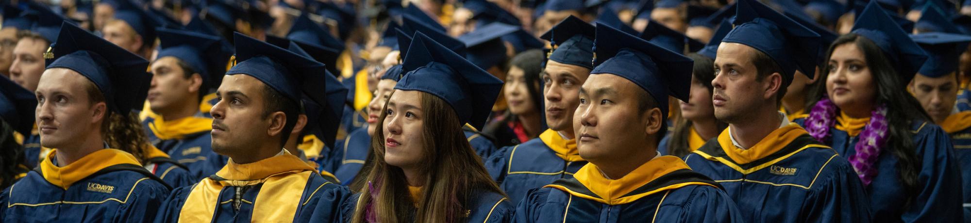 Students wearing academic regalia at the UC Davis commencement ceremony. 